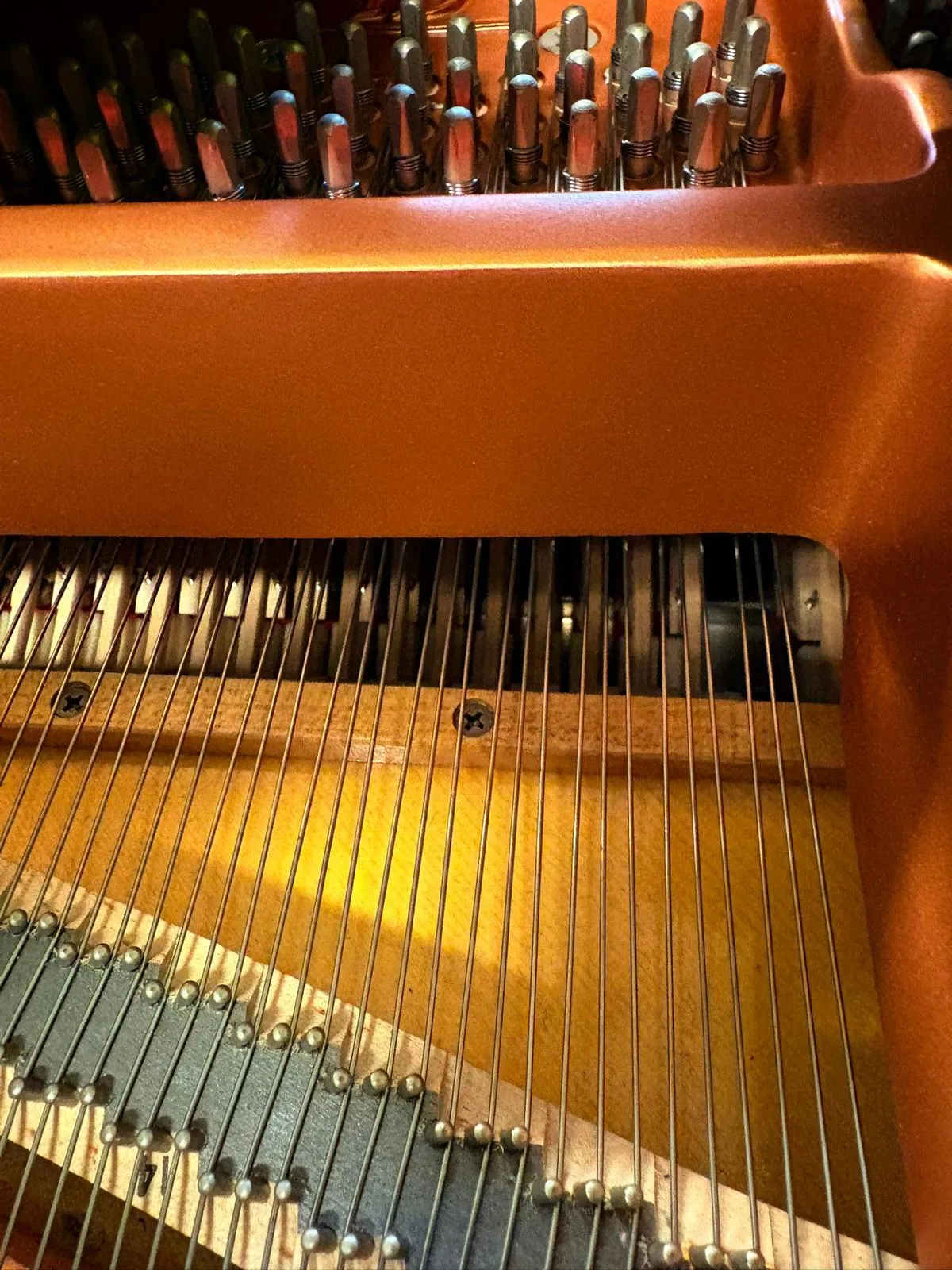 The dampers and strings inside a grand piano