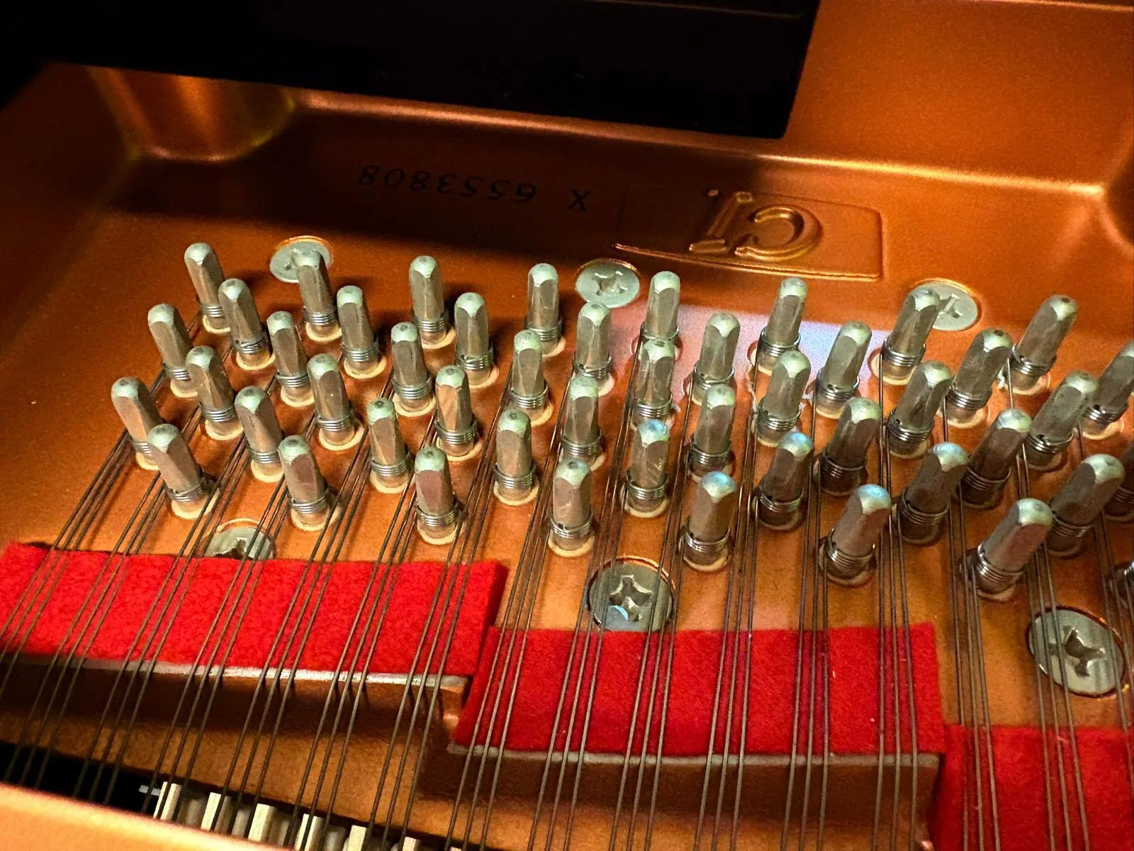 Tuning pins with a red felt muting strip laid between the strings during a tuning